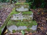 image of grave number 915564